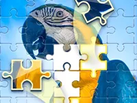 Seafood supermarket image