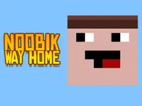 Noob: Way home image