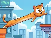 image bg CatStretch