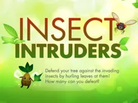 Insect Intruders image