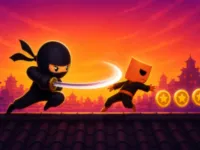 Ninja on the Run image