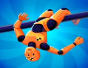 ragdoll image